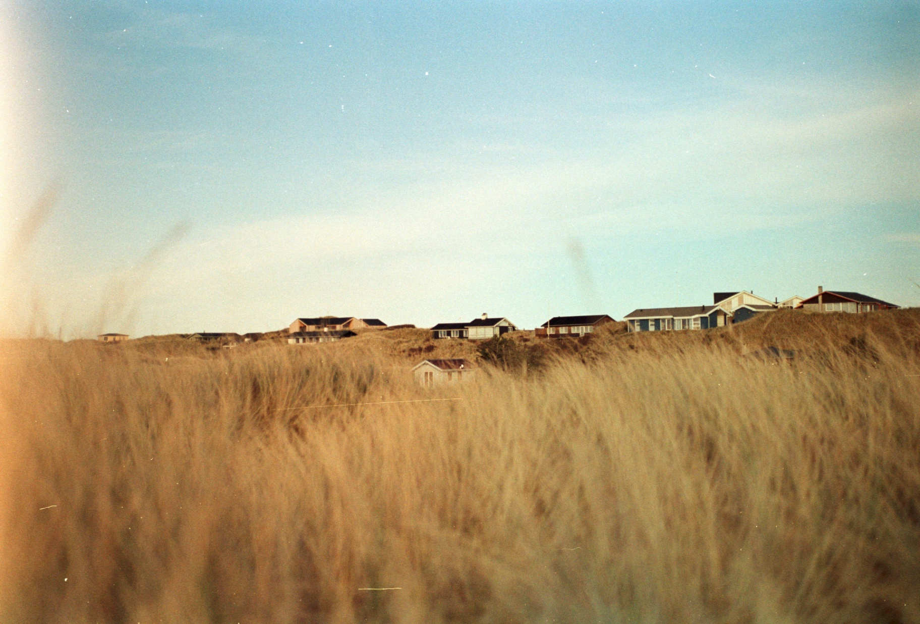 Pastel analog landscape with dune grass and beach houses